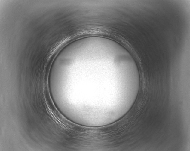 X0000086250482200703291039