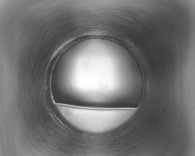 X0000086250484200703291039