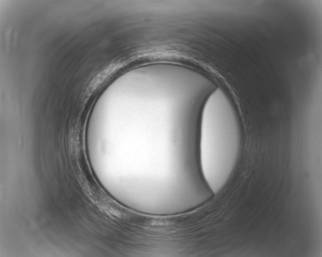 X0000086250487200703291039
