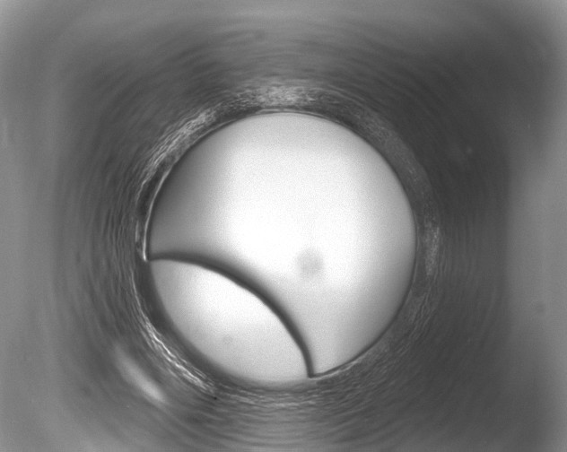 X0000086250490200703291039