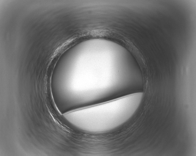 X0000086250492200703291039