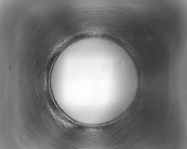 X0000086250494200703291039