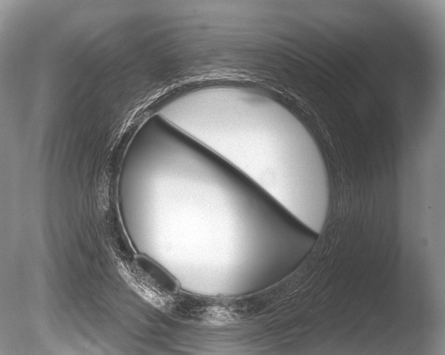 X0000086250496200703291039