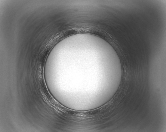 X0000086250498200703291039