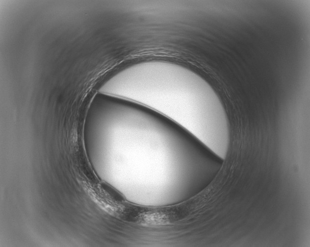X0000086250500200703291039