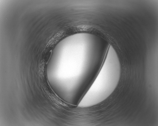 X0000086250509200703291039