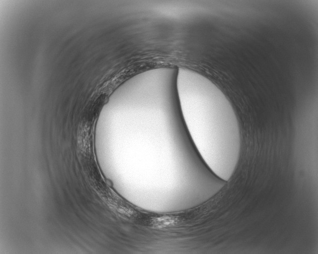 X0000086250511200703291039