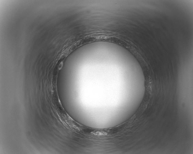 X0000086250512200703291039