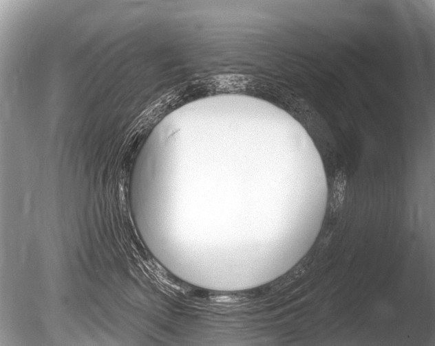 X0000086250522200703291039