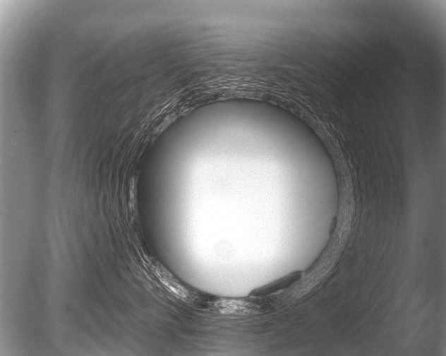 X0000086250528200703291039