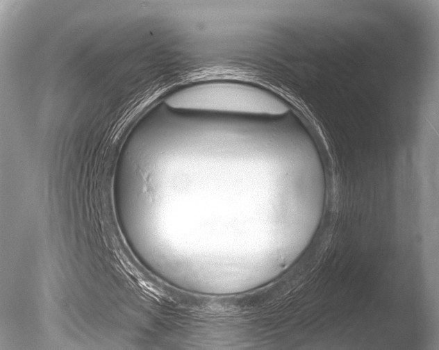 X0000086250529200703291038