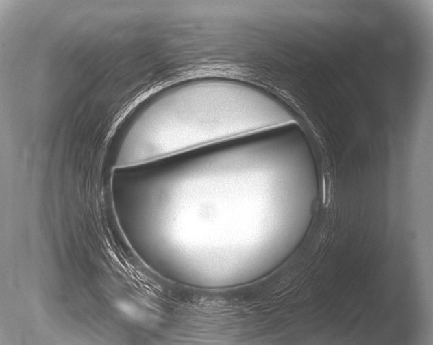 X0000086250531200703291038