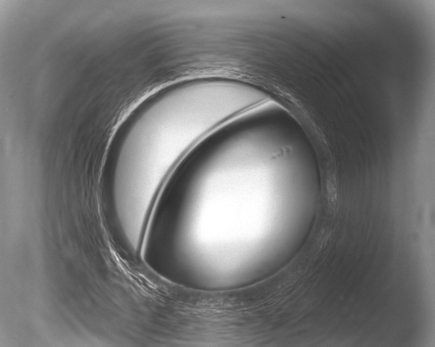 X0000086250532200703291038