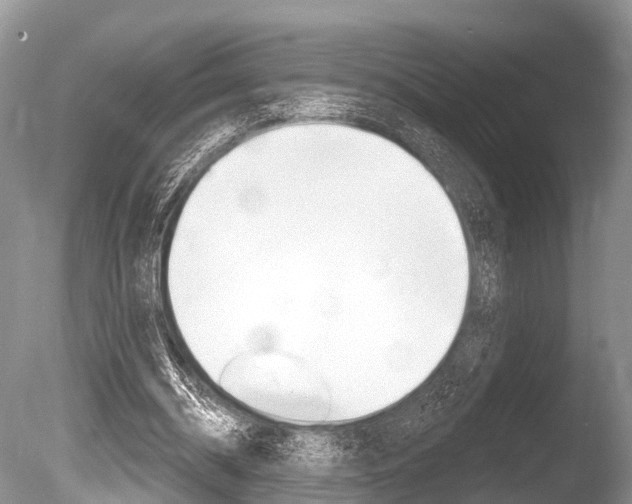 X0000086250534200703291038