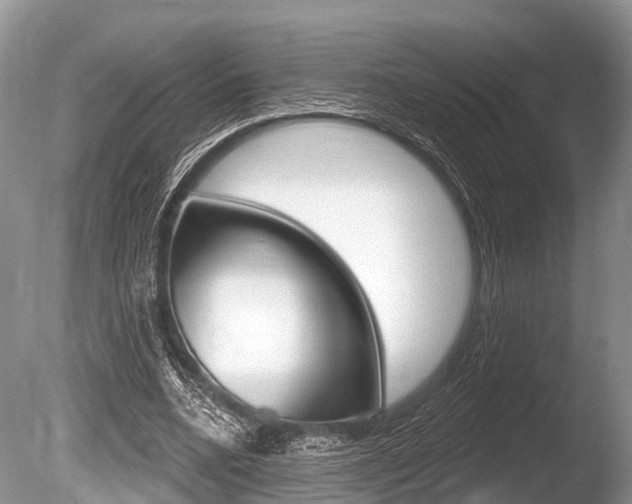 X0000086250536200703291038