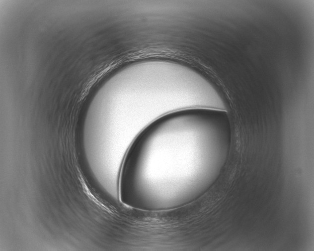 X0000086250538200703291038