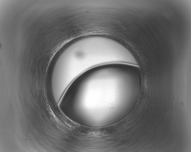 X0000086250540200703291038