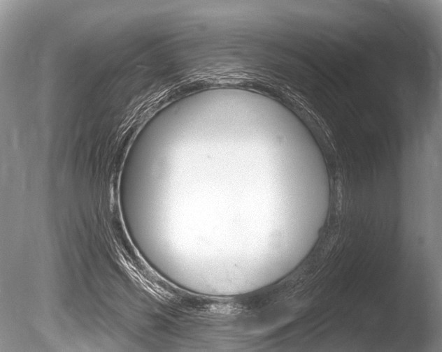 X0000086250541200703291038
