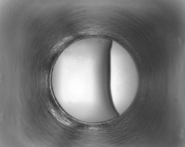 X0000086250542200703291038