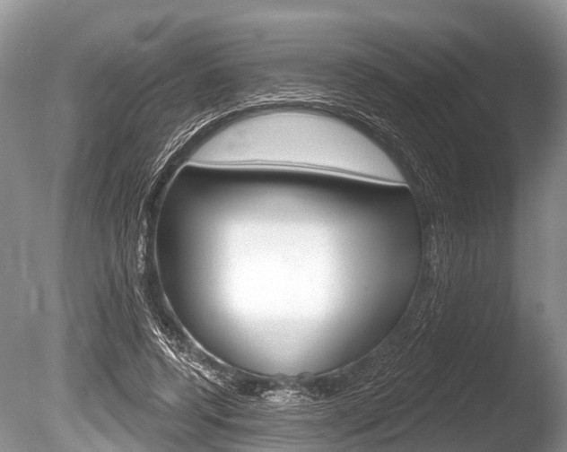X0000086250544200703291038