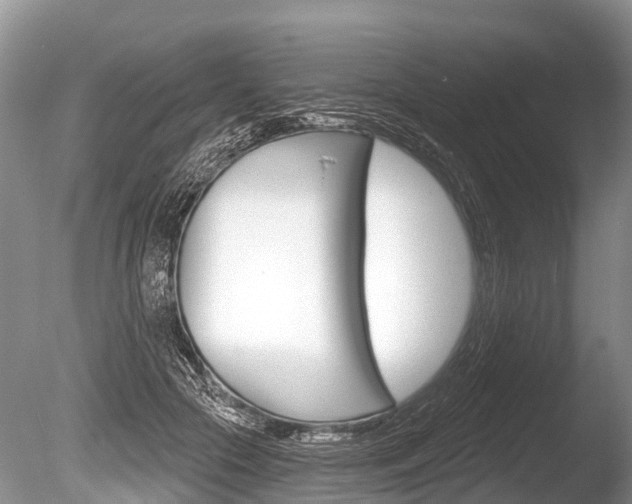 X0000086250553200703291038