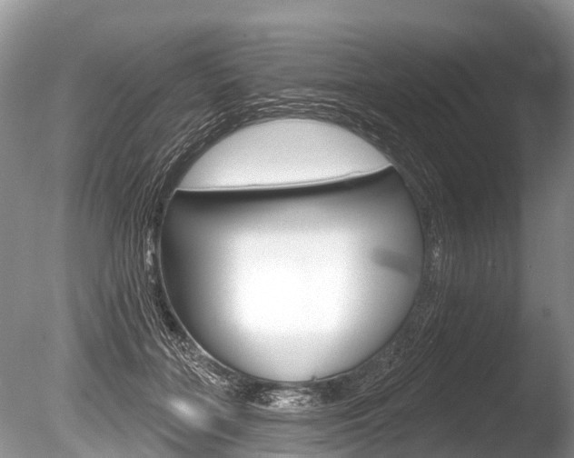 X0000086250555200703291038
