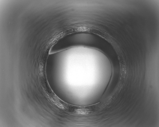 X0000086250556200703291038