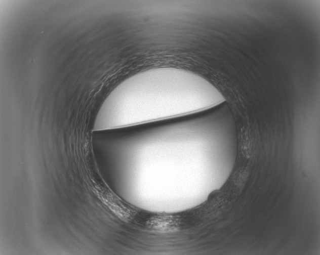 X0000086250563200703291038