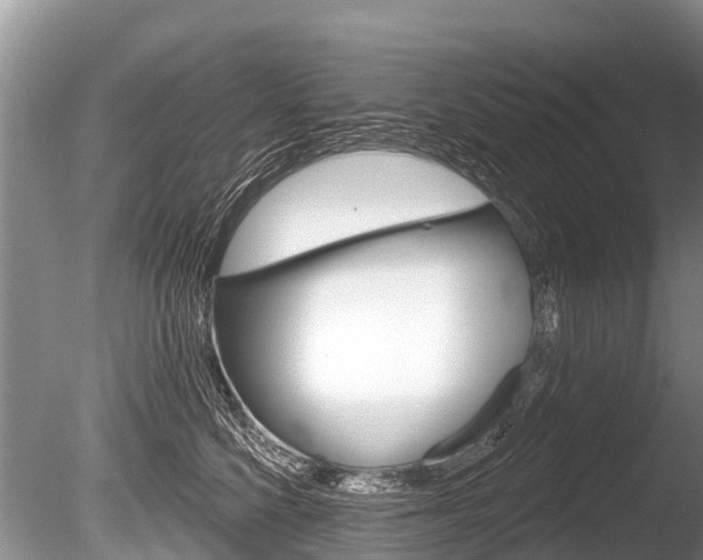 X0000086250568200703291038