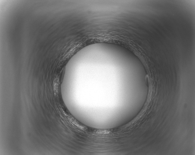 X0000086250576200703291039