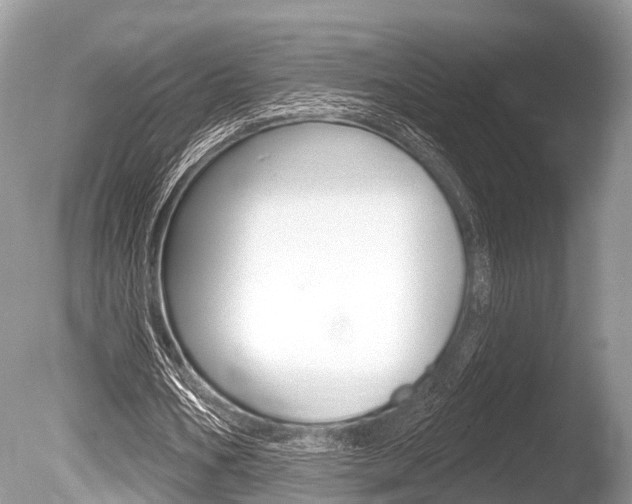 X0000086250578200703291038