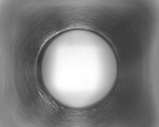 X0000086250579200703291038