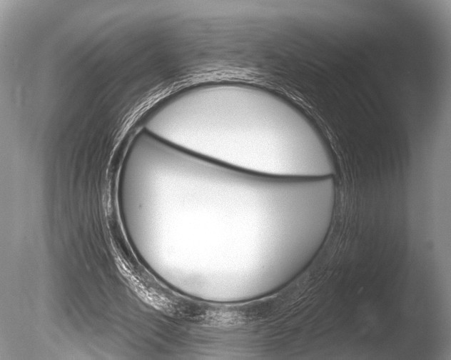 X0000086250582200703291038