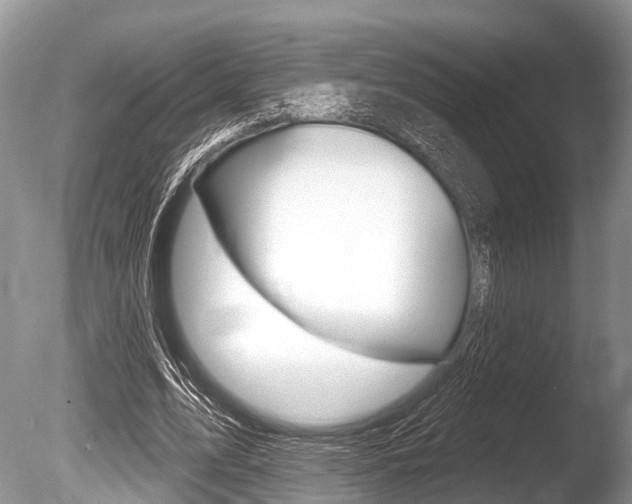 X0000086250583200703291038