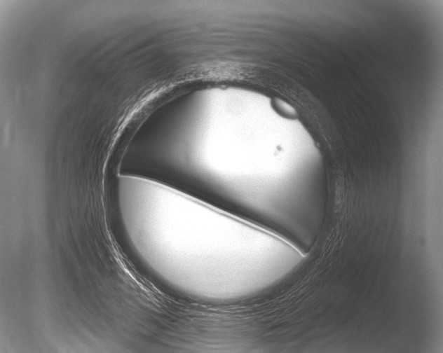 X0000086250584200703291038