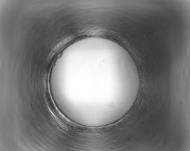 X0000086250586200703291038