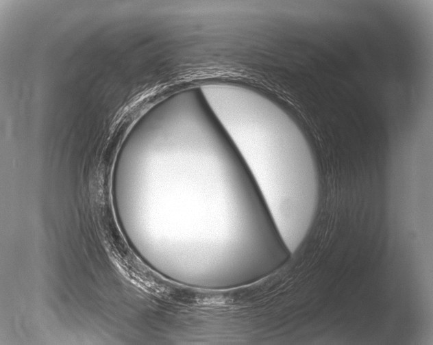 X0000086250587200703291038