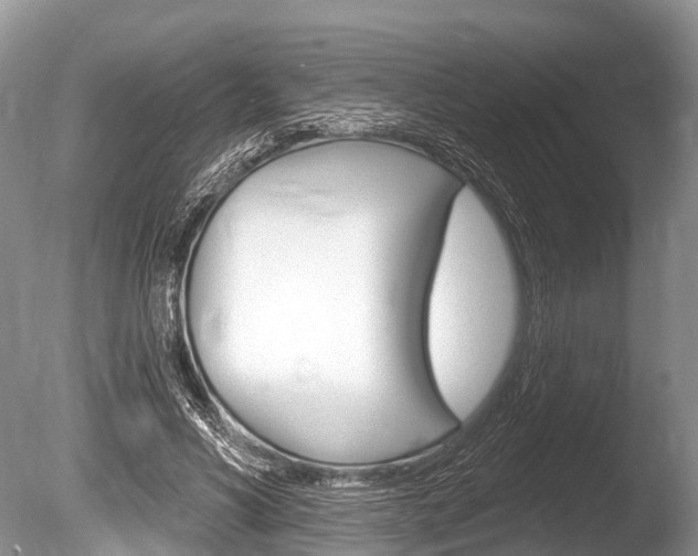 X0000086250590200703291037
