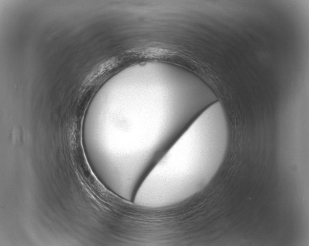 X0000086250591200703291037