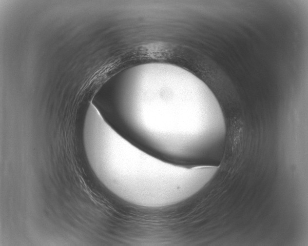 X0000086250595200703291037