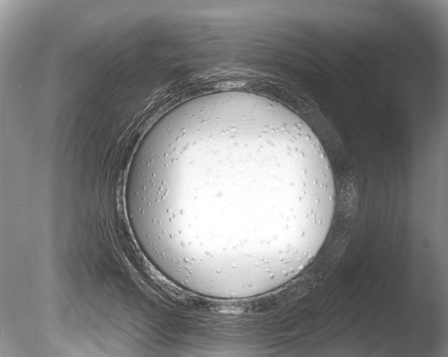 X0000086250598200703291037