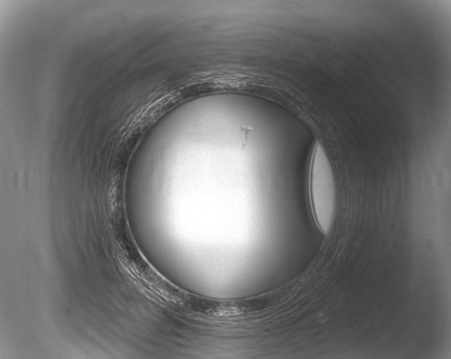 X0000086250600200703291037