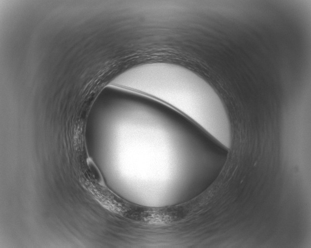 X0000086250601200703291037
