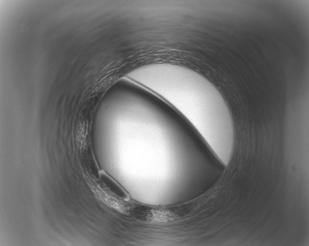 X0000086250605200703291037