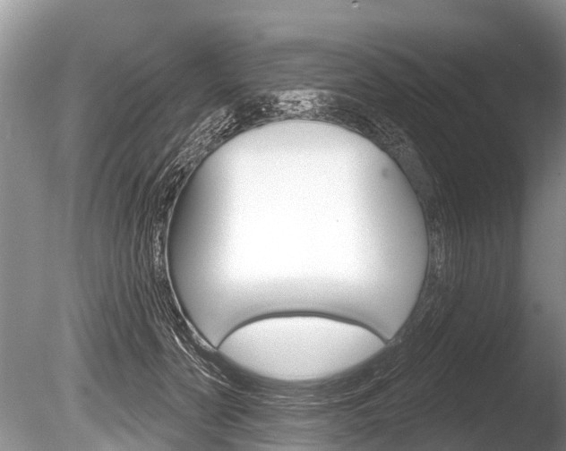X0000086250606200703291037