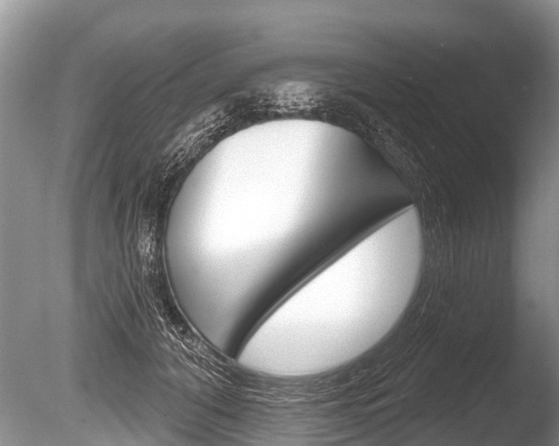 X0000086250608200703291037