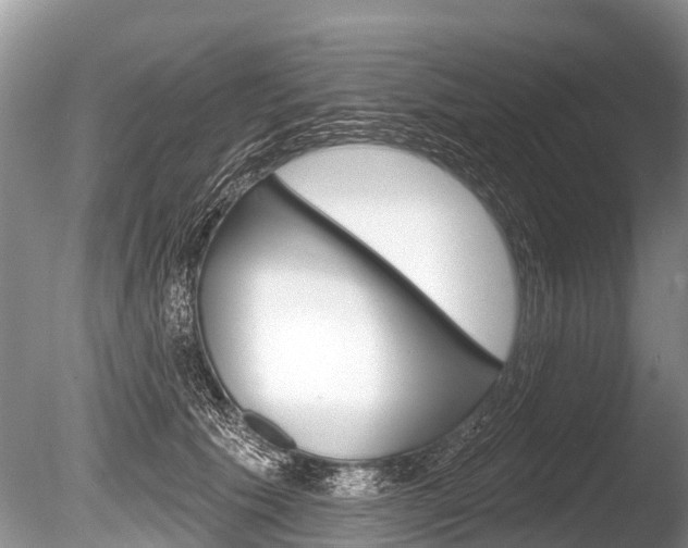 X0000086250609200703291037