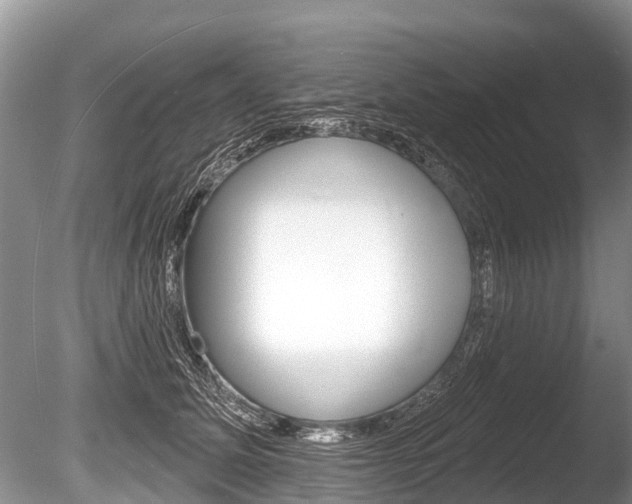 X0000086250611200703291037
