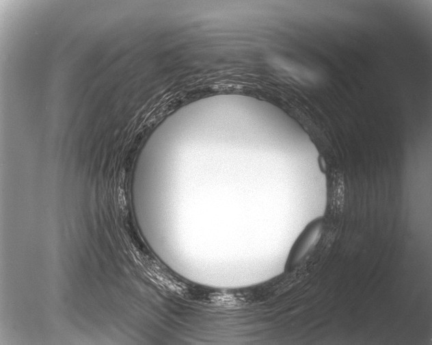 X0000086250616200703291037