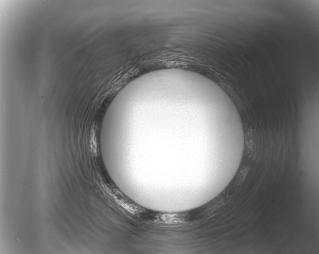 X0000086250622200703291037